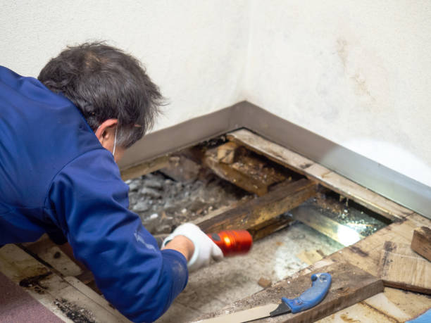 Buckner, MO Mold Remediation Company